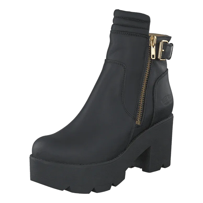 5025 Sprinter Black Shiny Gold