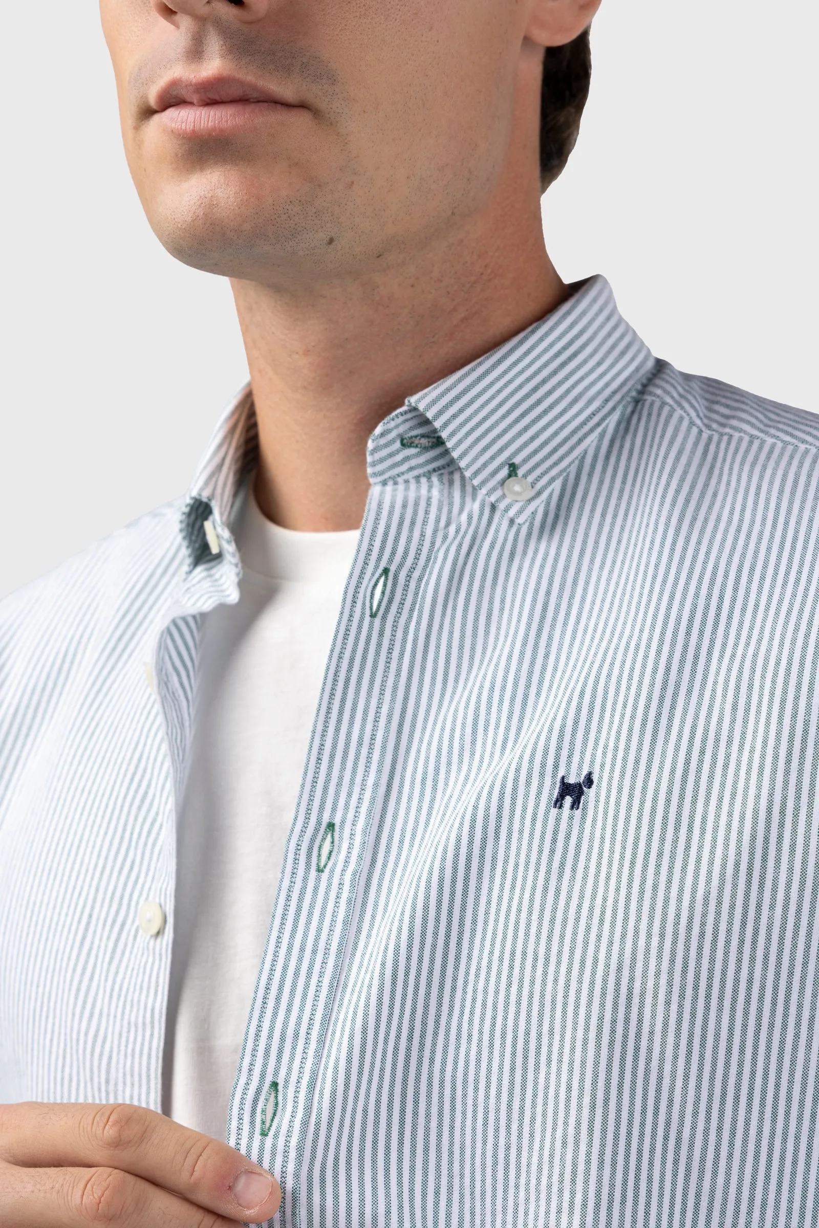 Camisa Raya Oxford Verde