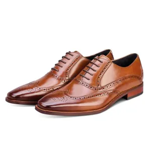 Hercules Tan Oxford Shoes