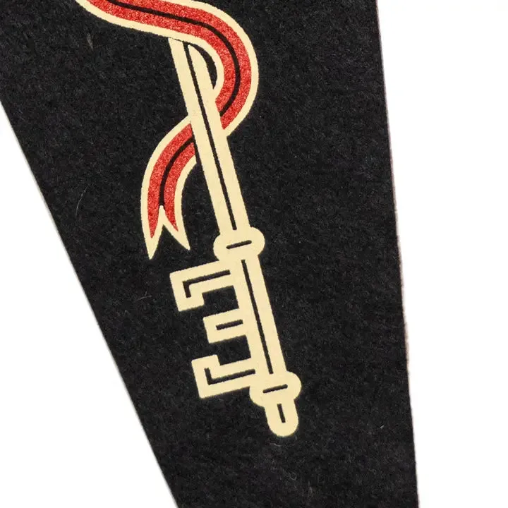 OXFORD PENNANT GET A ROOM WINDOW PENNANT || HELL CATS USA