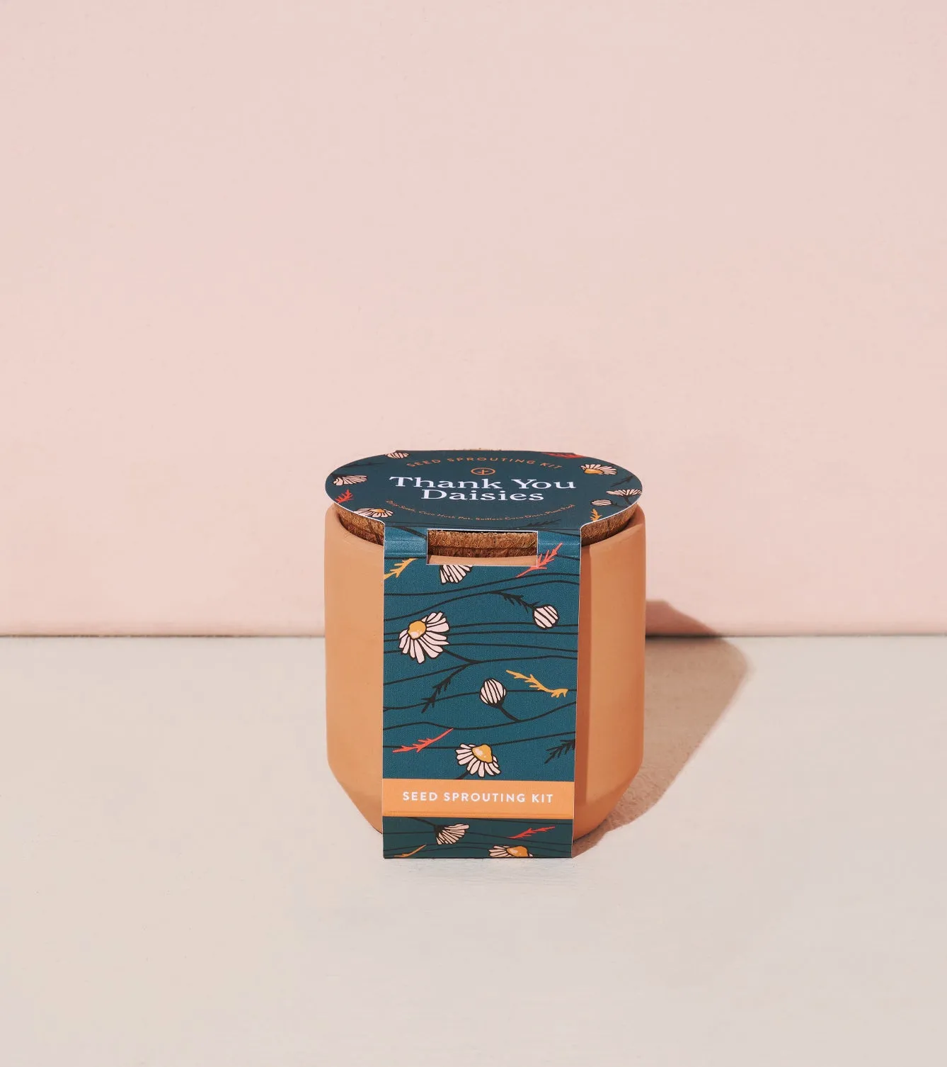 Tiny Terracotta Kits